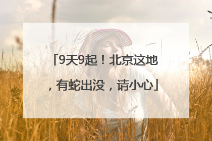9天9起！北京这地，有蛇出没，请小心