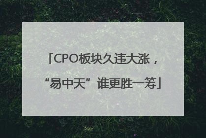 CPO板块久违大涨，“易中天”谁更胜一筹