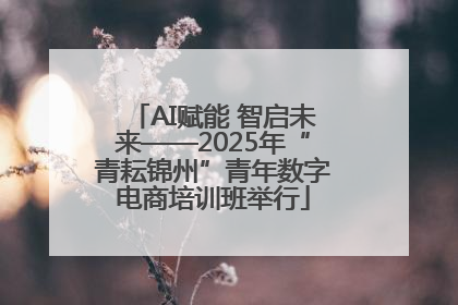 AI赋能 智启未来——2025年“青耘锦州”青年数字电商培训班举行