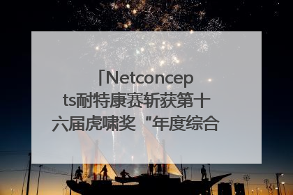 Netconcepts耐特康赛斩获第十六届虎啸奖“年度综合服务商”大奖