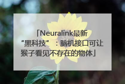 Neuralink最新“黑科技”：脑机接口可让猴子看见不存在的物体